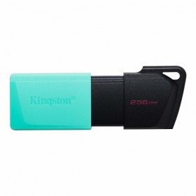 PENDRIVE KINGSTON 256 GB DTXM USB 3.2 GEN1